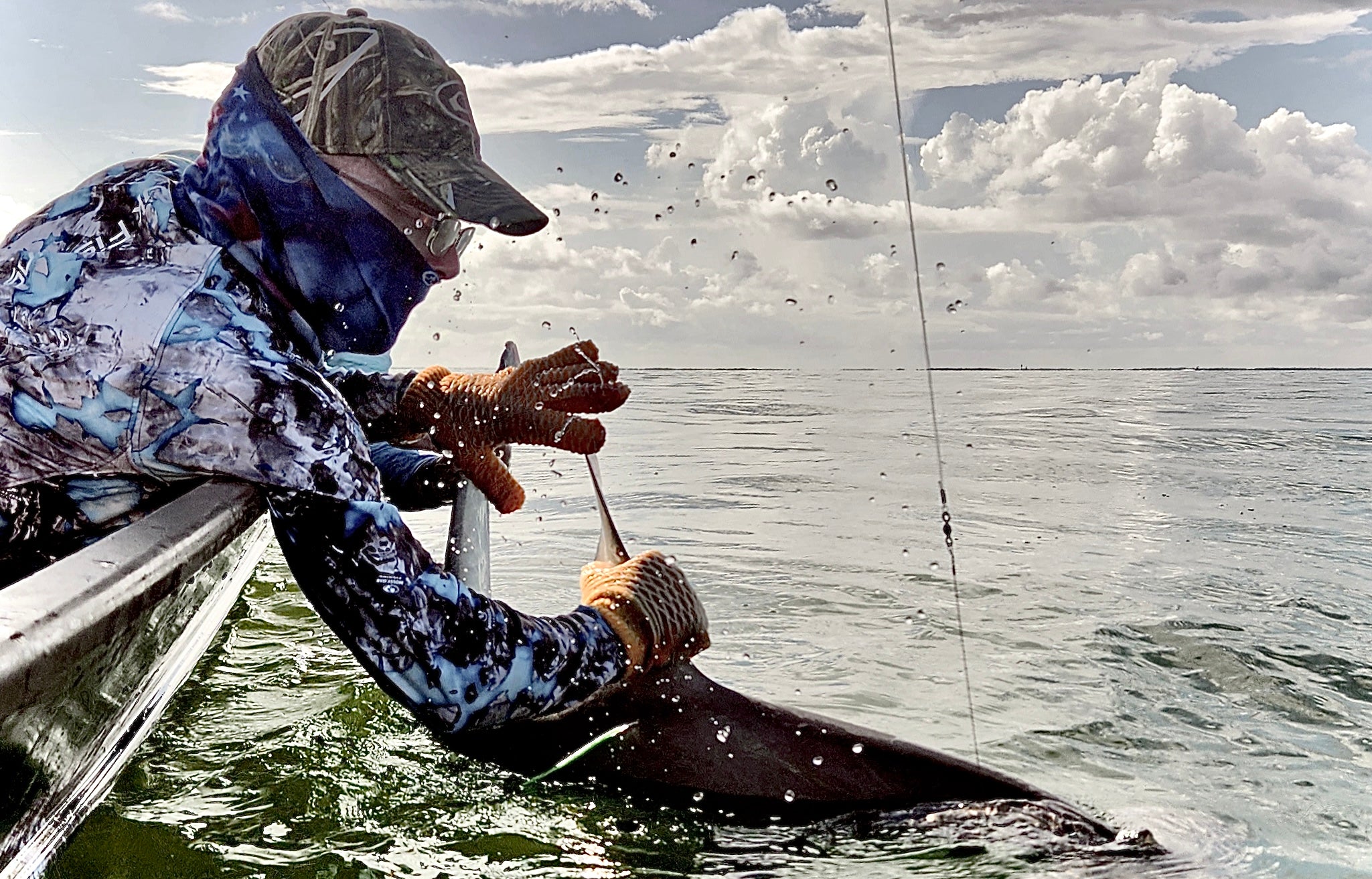 Shark swimming away from charter boat fiercely upon release